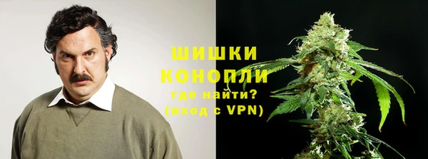 гашик Сосновый Бор