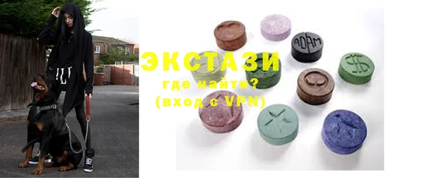 дживик Инта