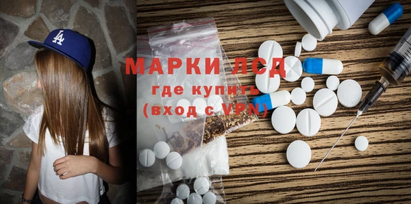гашик Сосновый Бор