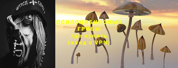 стафф Мещовск
