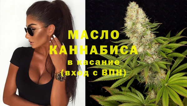гашик Сосновый Бор