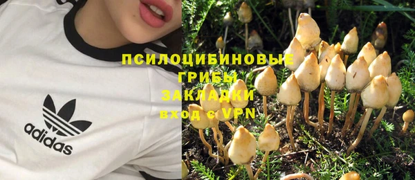 гашик Сосновый Бор