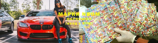 гашик Сосновый Бор