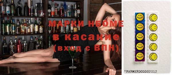 гашик Сосновый Бор