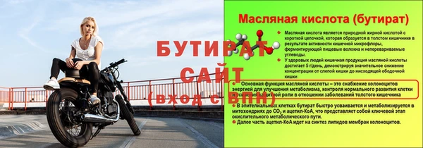 гашик Сосновый Бор