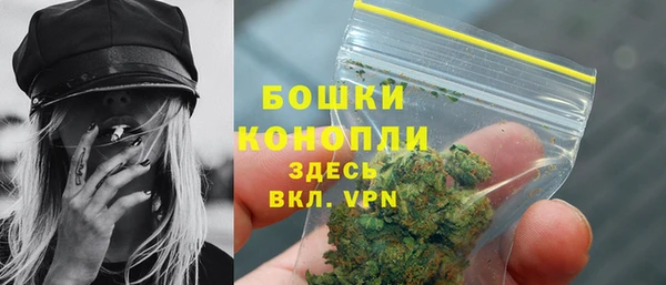 гашик Сосновый Бор