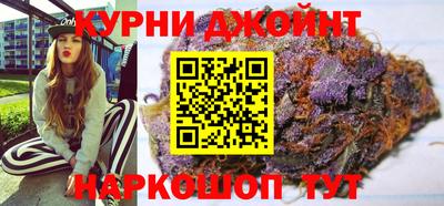 apvp Кингисепп