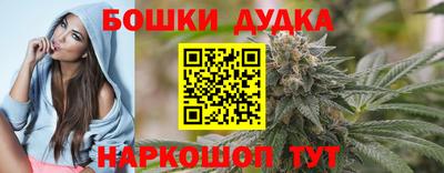 apvp Кингисепп