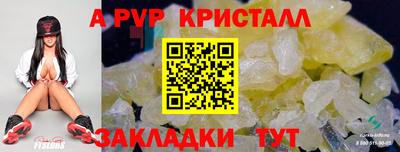 apvp Кингисепп