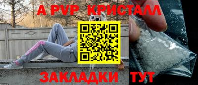 apvp Кингисепп