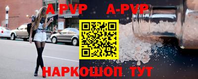 apvp Кингисепп
