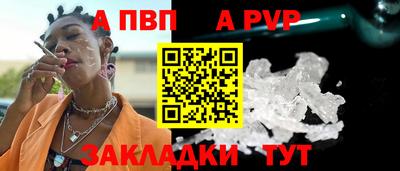 apvp Кингисепп