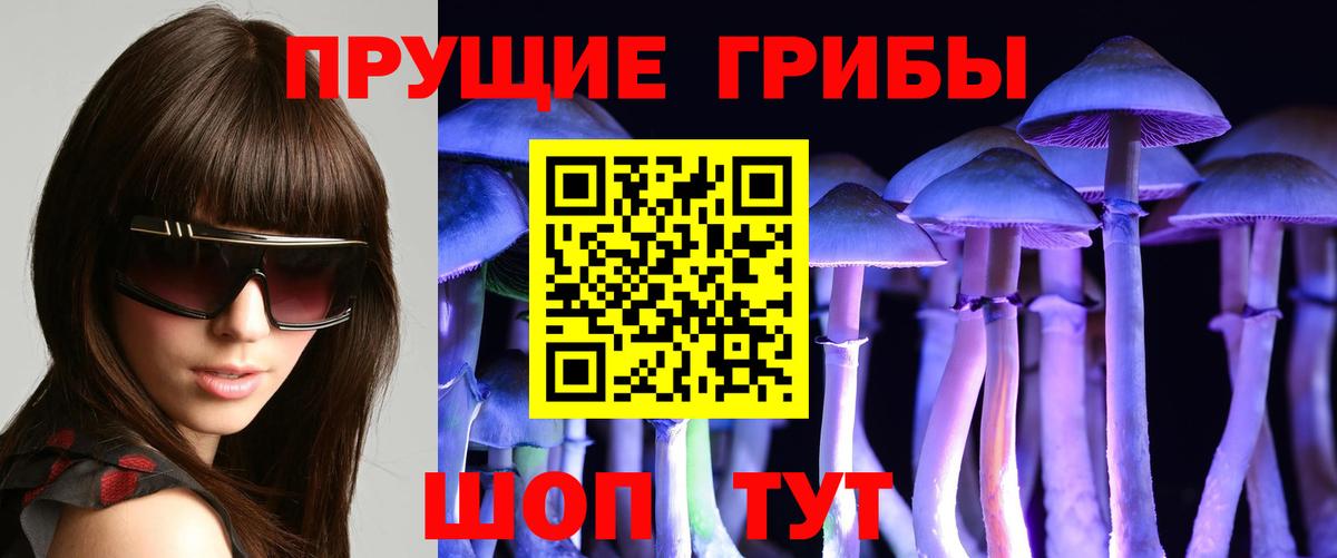 Галлюциногенные грибы Cubensis Соль-Илецк