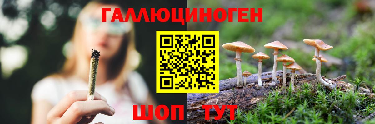 Псилоцибиновые грибы прущие грибы  Псилоцибиновые грибы GOLDEN TEACHER  Соль-Илецк  Вход с VPN 